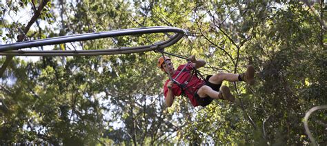 longest zipline in australia